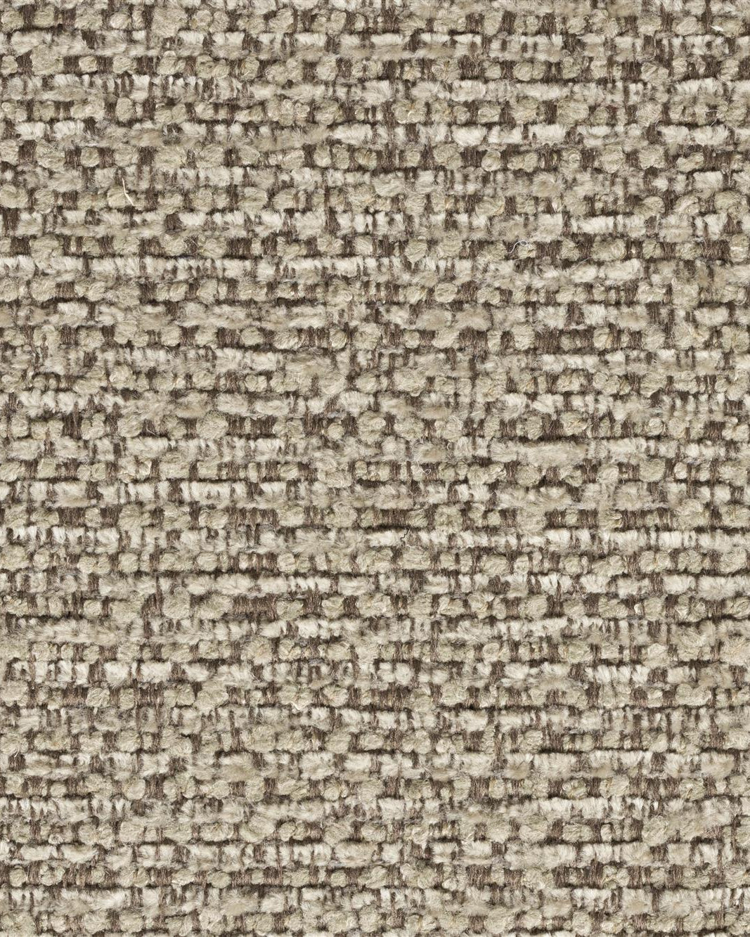 Lounge Chair Indy- Cappucino - Image 4